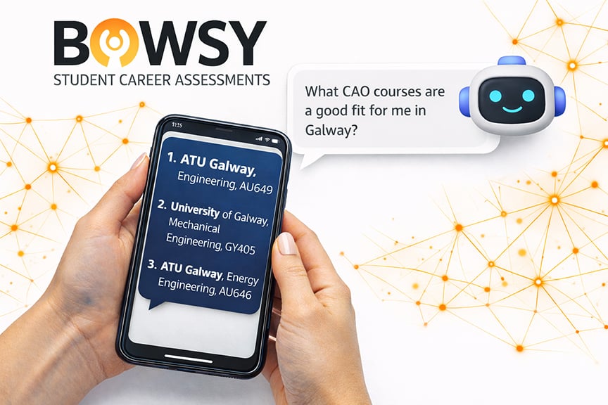 Bowsy CAO Career Assessment