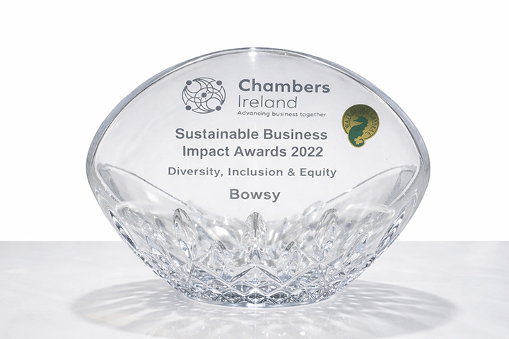 Chambers Ireland Award